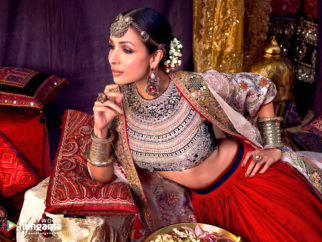 Celebrity wallpapers of Malaika Arora