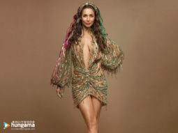 Celebrity wallpaper of Malaika Arora