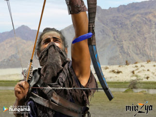 Movie Wallpapers Of The Movie Mirzya