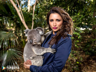 Celeb Wallpapers Of Parineeti Chopra