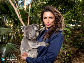 Celeb Wallpapers Of Parineeti Chopra