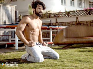 Celebrity Wallpapers of Shahid Kapoor