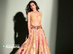 Celebrity wallpaper of Sophie Choudry