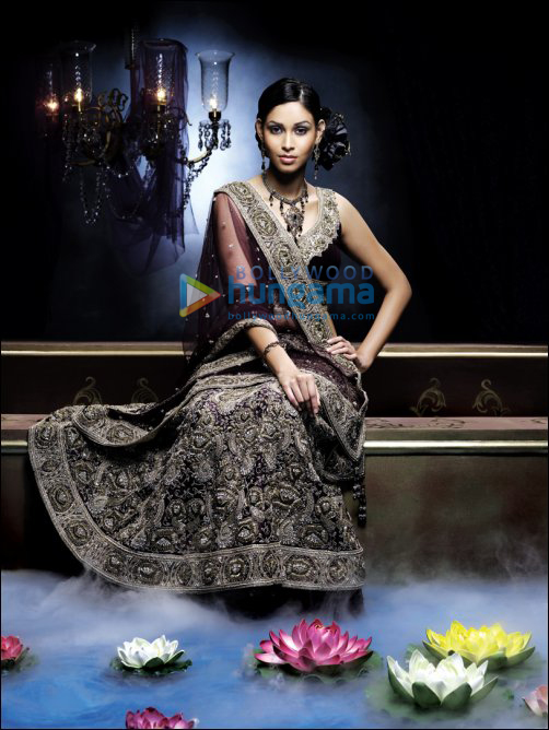 introducing amruta patki 4