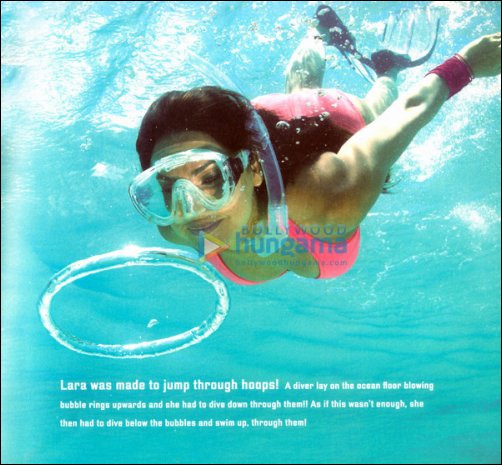an exclusive look at the blue adventure the coffee table book of blue 6