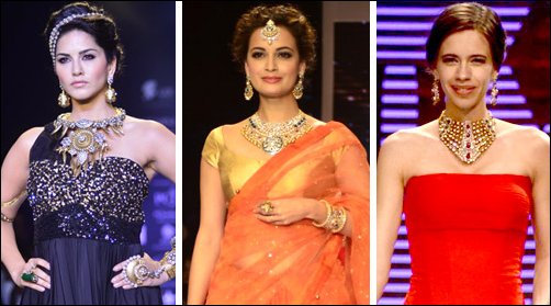 what bollywood stars did this week 565