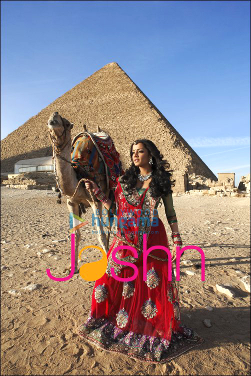 celebrating jashn with celina jaitly 2
