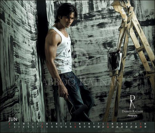 a sneak peek into dabboo ratnanis 2008 calendar 3