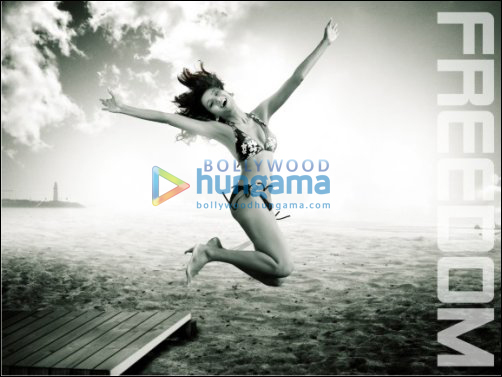 delectable life o holic bikini calendar 4 delectable life o holic bikini calendar 4
