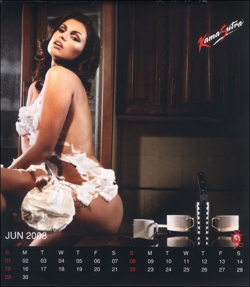 maxim presents sin a calendar of 2008 2