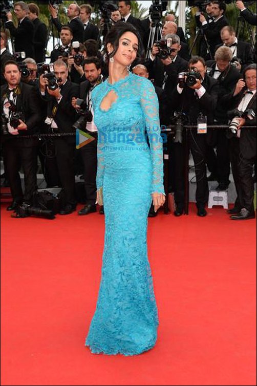 cannes diaries 2014 day 1 bollywood stars on the red carpet 2