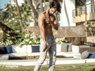 Celebrity Wallpapers of Shahid Kapoor