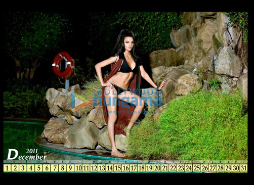 check out sherlyn chopras sexy calendar for 2011 12