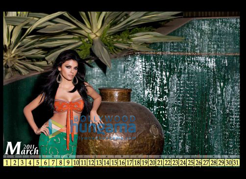 check out sherlyn chopras sexy calendar for 2011 7