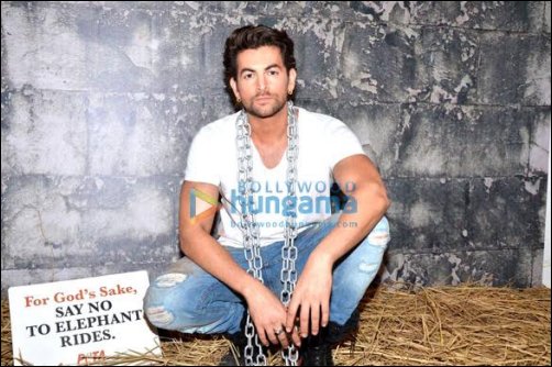 what bollywood stars did this week 989