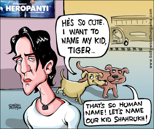 Bollywood Toons: Tiger Vs Shah Rukh