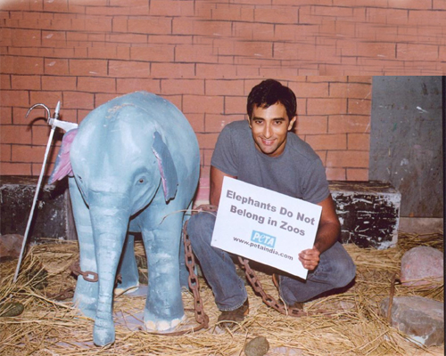 rahuls jumbo friend rahuls jumbo friend