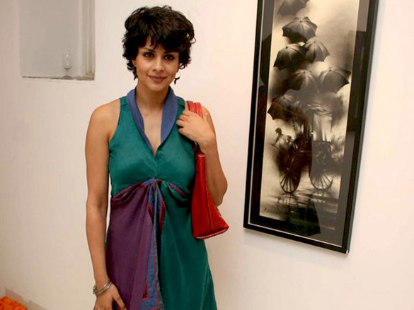 gul panag at art for dignity preview 6