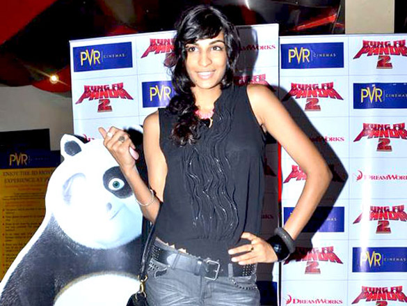 premiere of kung fu panda 2 3