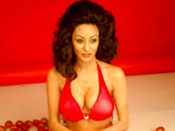 vedika tripathis glam shoot 3
