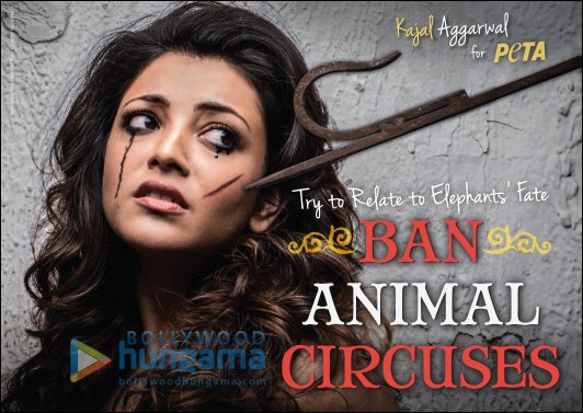 Check out: Kajal Aggarwal shoots for PETA ad
