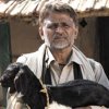 Midweek B.O.: ‘Peepli Live’ has an excellent Rs. 16 cr. weekend