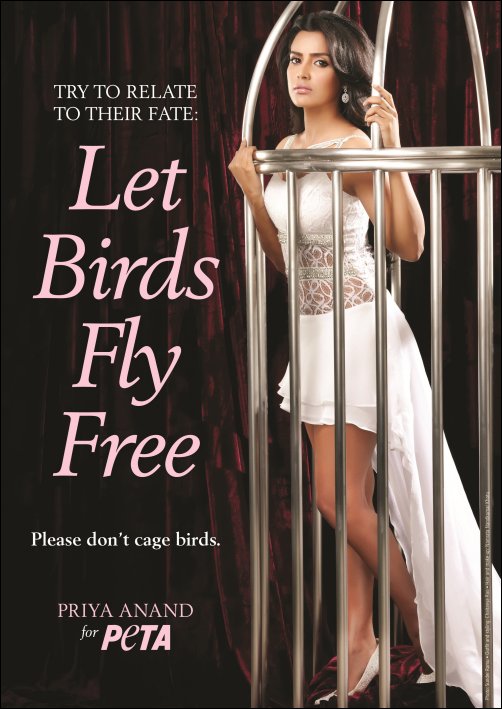 Check Out: Priya Anand gets caged for PETA