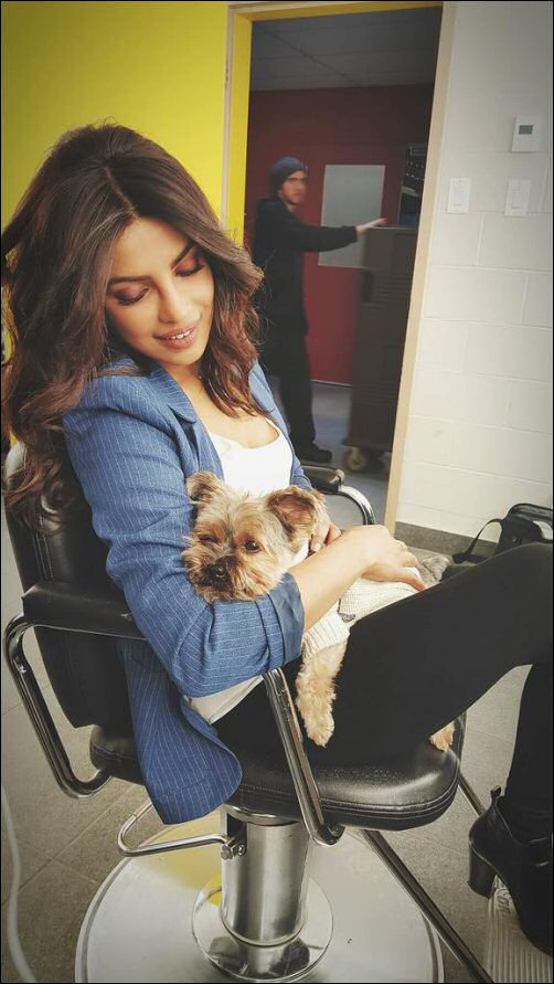 When Brando was snapped resting in Priyanka Chopra’s arms
