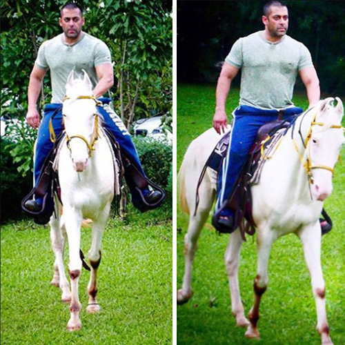 Check out: Salman Khan takes horse riding sessions for Sultan