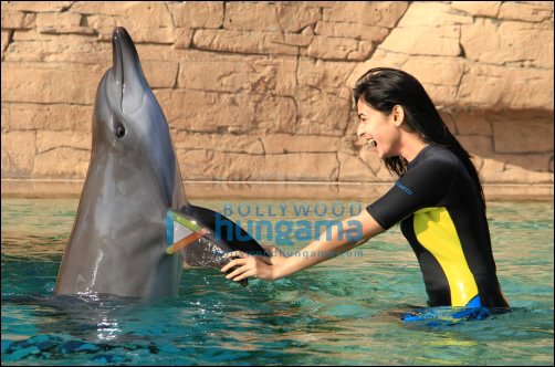 Check out: Sonal Chauhan having fun with dolphins