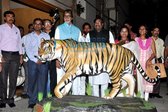amitabh bachchan announced as the brand ambassador of save the tiger initiative 2