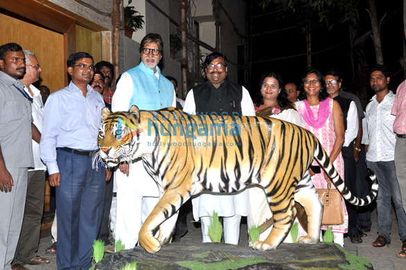 amitabh bachchan announced as the brand ambassador of save the tiger initiative 4