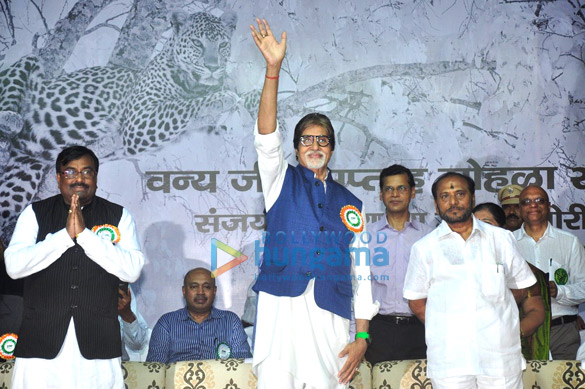 amitabh bachchan appointed as maharashtras tiger ambassador 3