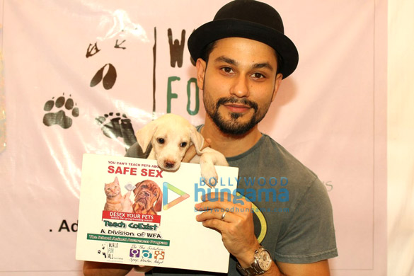 kunal khemu at adopt pet drive campaign 4