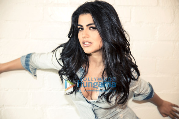 shenaz treasury 15