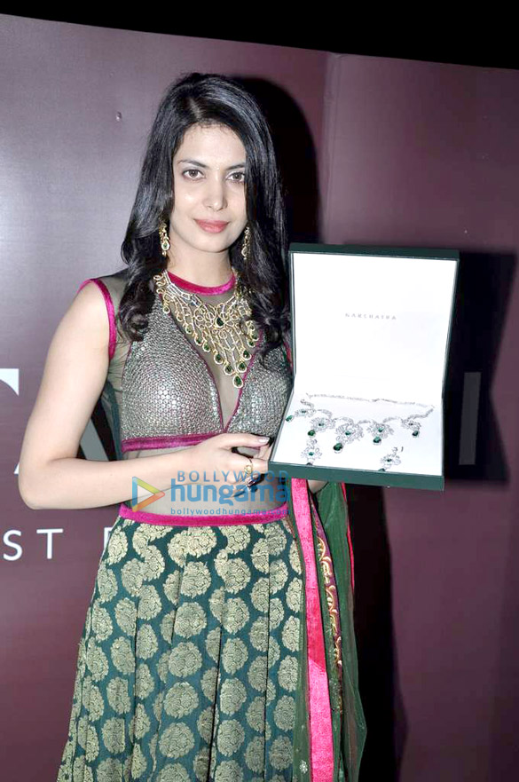 ankita shorey launches new collection of gitanjali 3