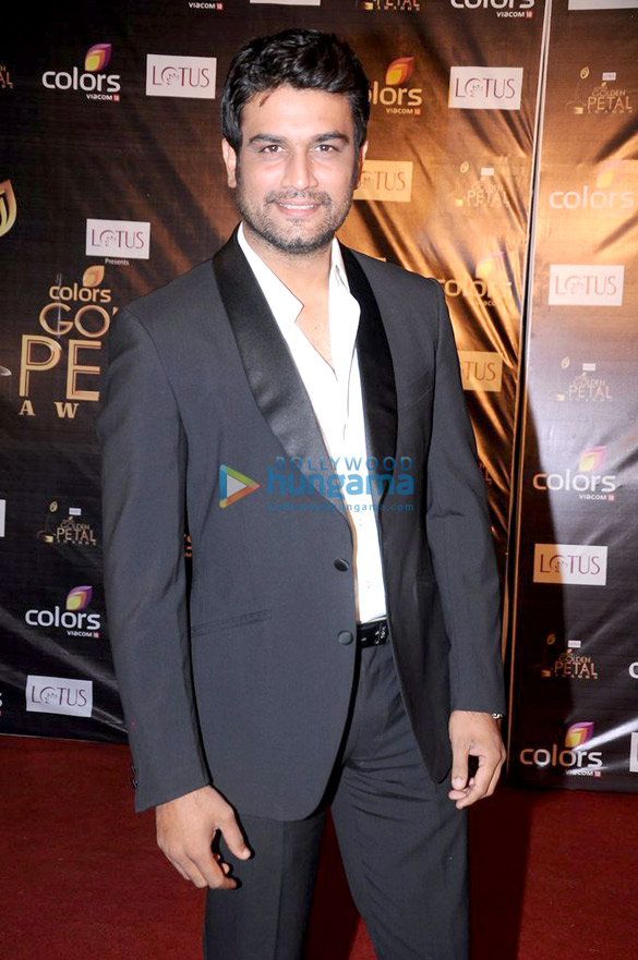 celebs grace colors golden petal awards 2012 24