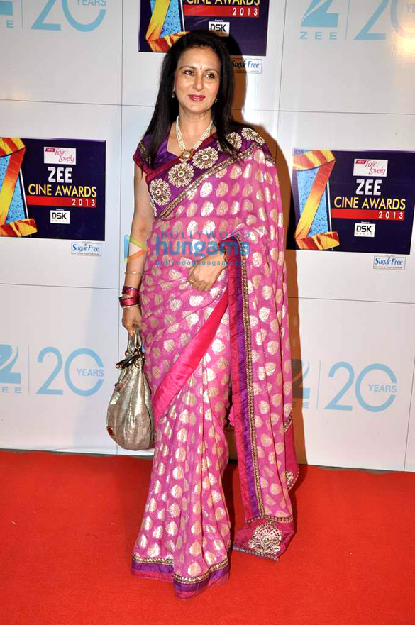 zee cine awards 2013 31