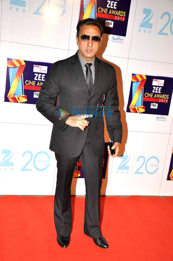 zee cine awards 2013 46