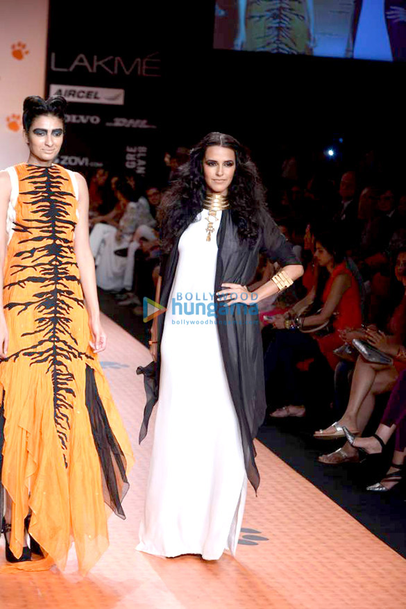 neha dhupia walks the ramp for save our tigers at lakme fashion week 2013 4