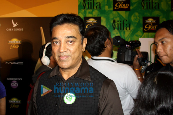 iifa awards 2013 rocks green carpet 10