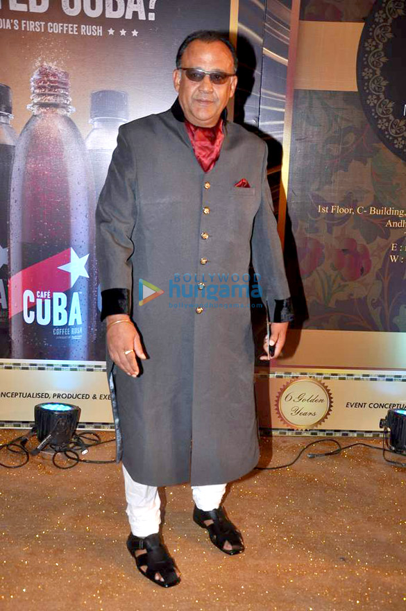 celebs grace gold awards 2013 28