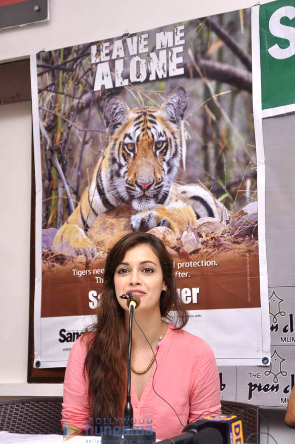 dia mirza at save the tiger campaign 3