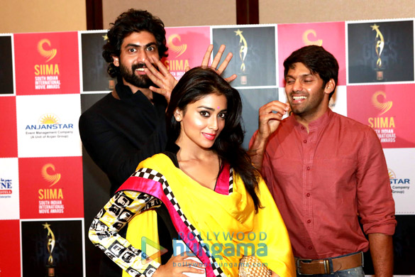shriya saran rana at the press meet of siima awards in dubai 8