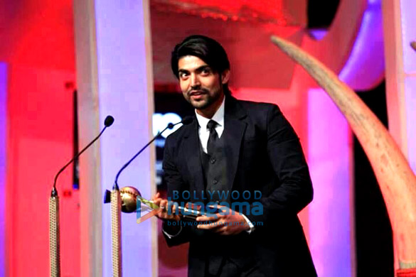 saifta awards 2013 22