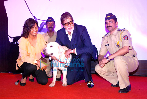 big b graces pawsitive peoples awards 4