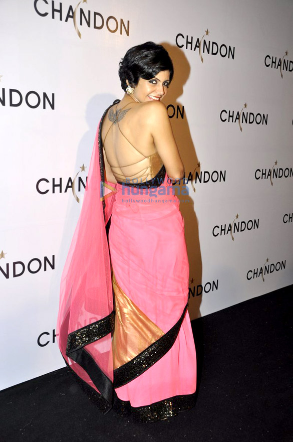launch of sparkling wine chandon 3