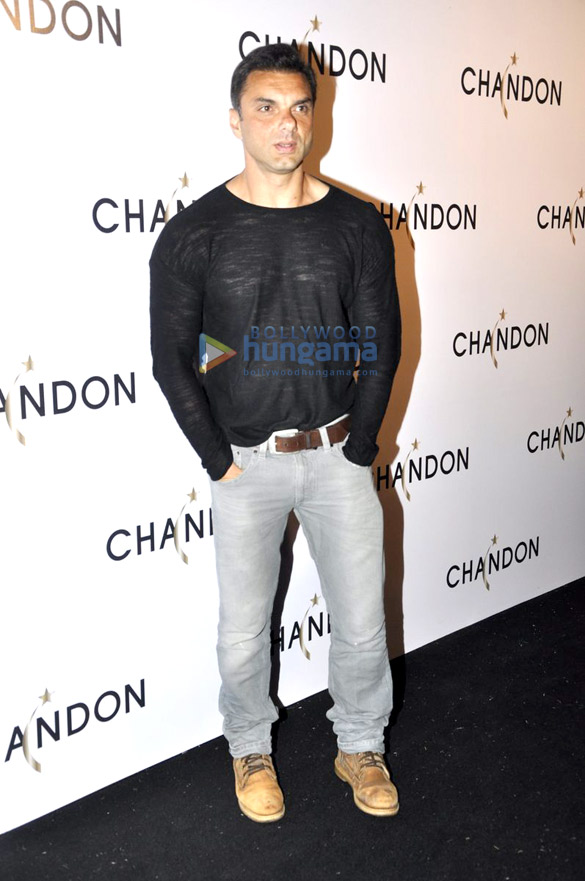 launch of sparkling wine chandon 7