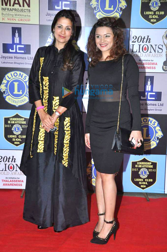 20th lions gold awards 32