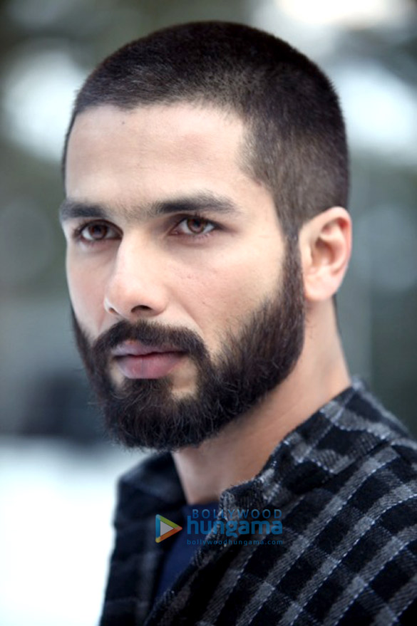 haider 4